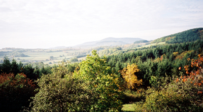 img view of Boisseau on Mont Beuvray