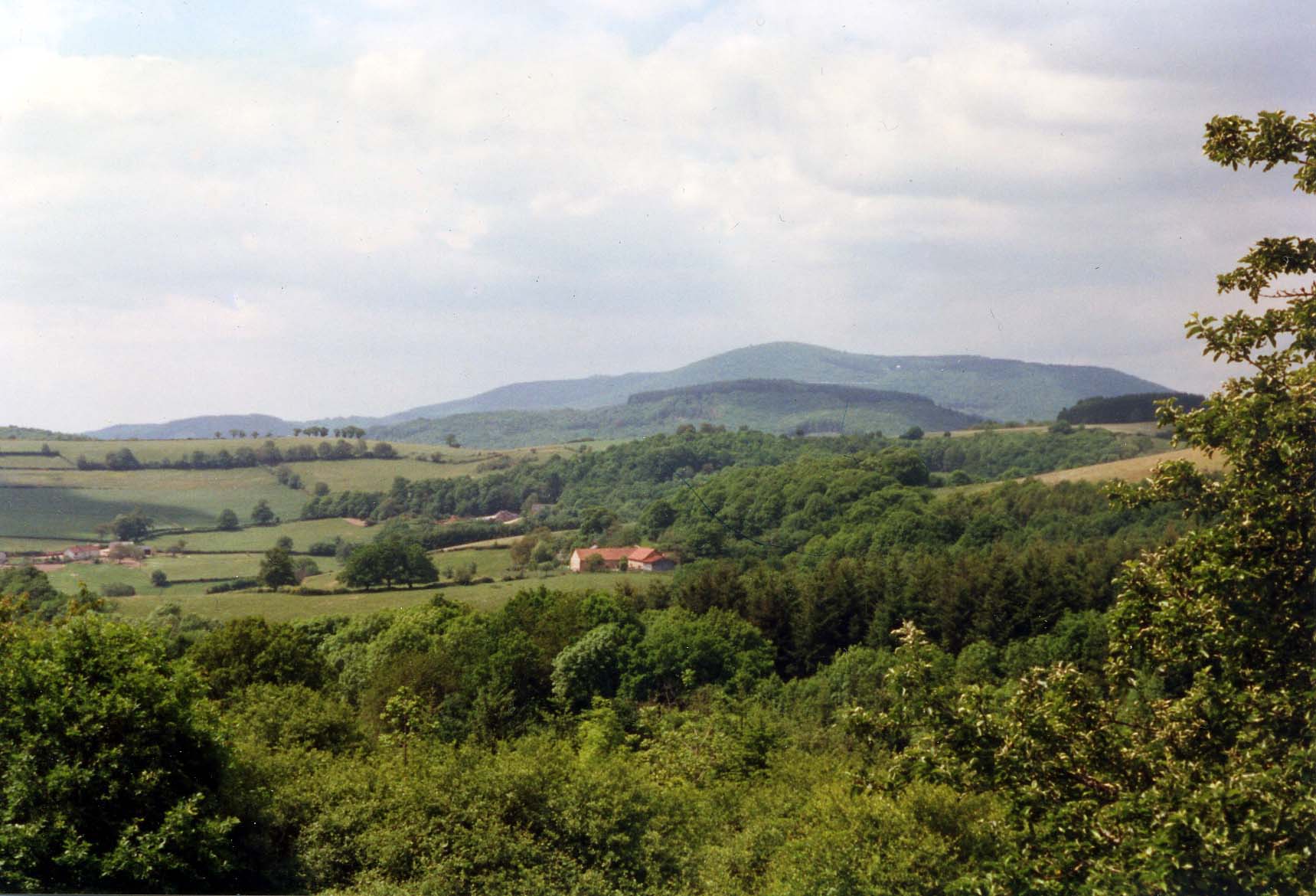 Vue du Mt Beuvray de Boisseau